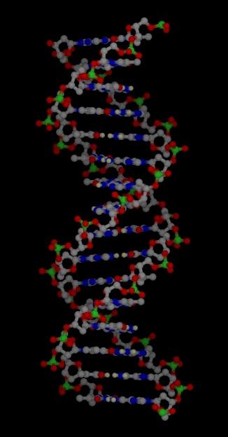 4 Vai Dievs eksistē  DNS kods... Autors: Fosilija Zinātniski pierādījumi par Dieva eksistenci