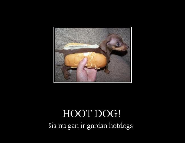 hoot dog!