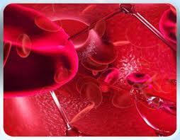 hematoloģija  asinis Autors: SuperPankūciņš Cilvēka ķermeņa zinātnes