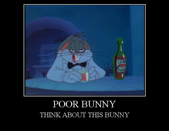  Autors: LittleBadPussyBoy Poor bunny