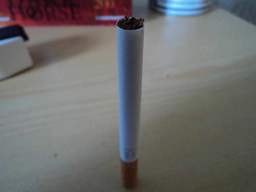 Lūk arī gala iznākums  smoking Autors: Dilers Tinamā tabaka