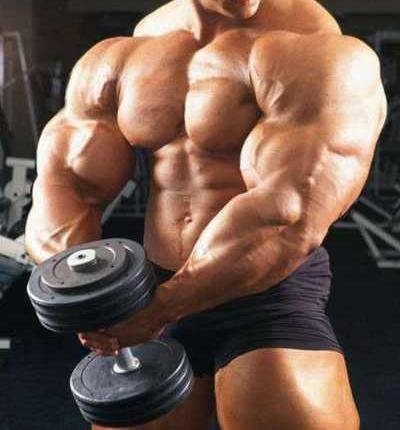  Autors: martinsmarcelo Bodybuilding