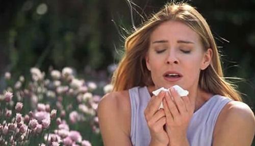 Puķu ziedputekšņi ir galvenais... Autors: kristux Fakti par alerģijām