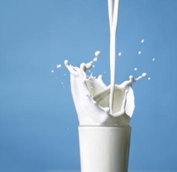 Pienīgs Piens ir vājš dzēriens... Autors: manekens Jaunvārdi