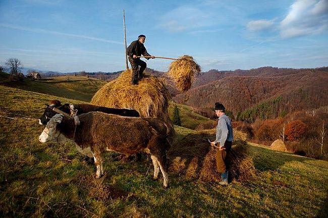 Zemnieki atlasa sienu no... Autors: TheSame Strādā, lai izdzīvotu