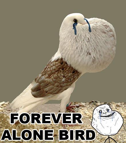  Autors: fuckyeaah Stare Dad feat. Forever Alone