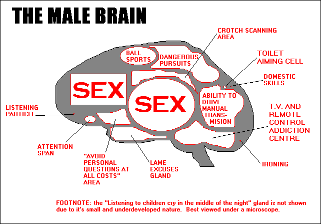 Vīrietim galvā katru minūti... Autors: Spodzis Atšķirība starp sieviešu un vīriešu smadzenēm