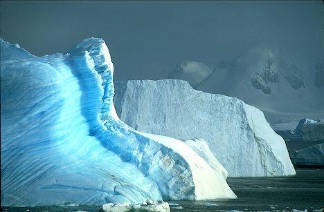 Antarktīda ir vienīgā zeme... Autors: spuuule Tāda nu ir mūsu trakā pasaule #3