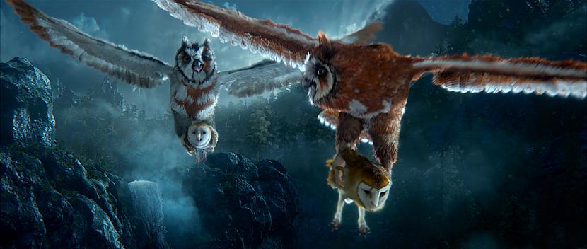  Kādu dienu Soren un viņa... Autors: este1 Legend of the Guardians: The Owls of Ga'Hoole