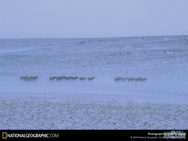  Autors: LittleWolf Islande (Uguns un Ledus zeme) jeb paradīze Zemes vidū