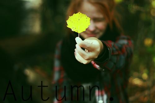  Autors: pandulāciis Autumn. *