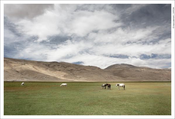  Autors: Fosilija Tibeta