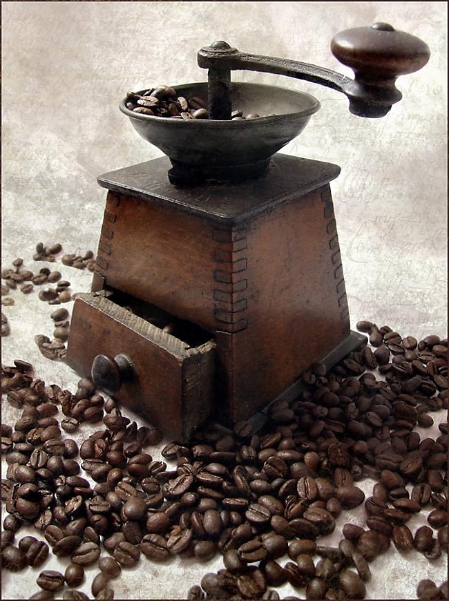 41 1727 Gadā kafijas stādi... Autors: Ivarocks 70 fakti par kafiju.