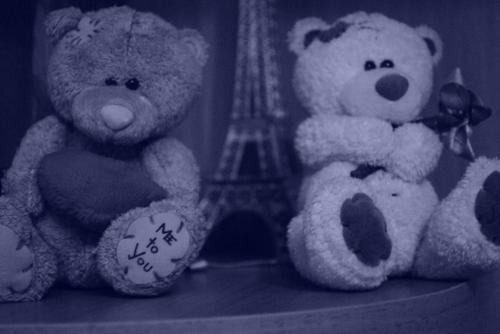  Autors: tedisdina love