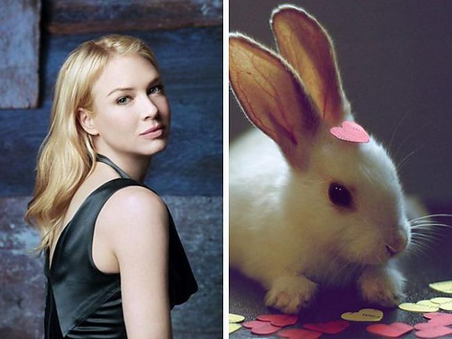 Renee Zellweger  rabbit Autors: Foxmens Slavenibas un zveri