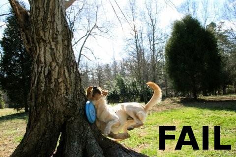  Autors: exis keksis Fail