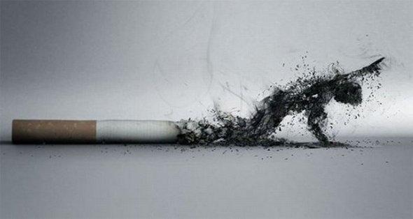  Autors: Es esu sēne Anti smoke