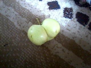 šo āboli jeb āboļus jeb... Autors: DP Arodeyz Jumis-Āboļi