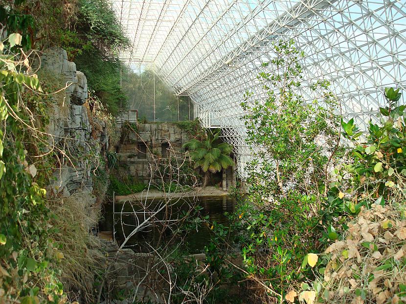 Noslēgtajā vidē savairojās... Autors: Sokumi "Biosfēra - 2" Mākslīgā ekosistēma.