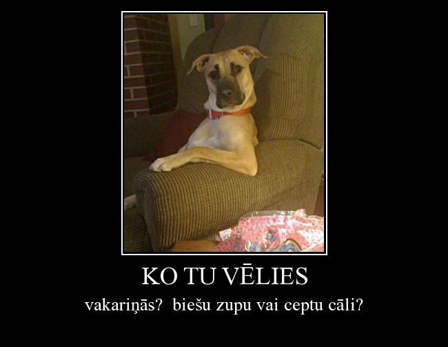  Autors: mazpunkte ko tu vēlies