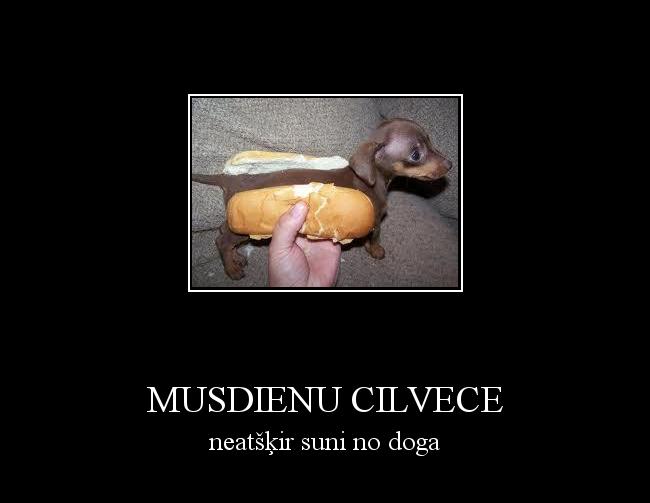  Autors: tc147 musdienu cilvece