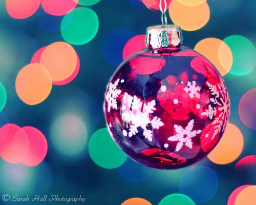  Autors: dirteechocolate just can't wait for christmas