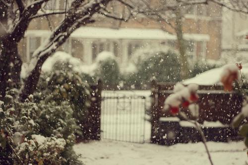  Autors: dirteechocolate just can't wait for christmas
