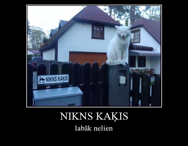  Autors: tc147 nikns kaķis