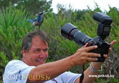 Autors: cezijscs Fotogrāfi
