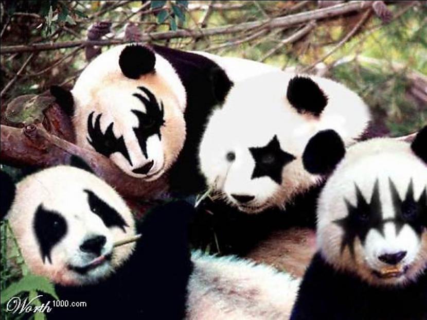  Autors: ashantyy Pandaa:)