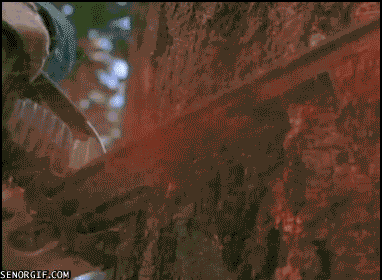  Autors: OLIMP Daži labi gifiņi 17
