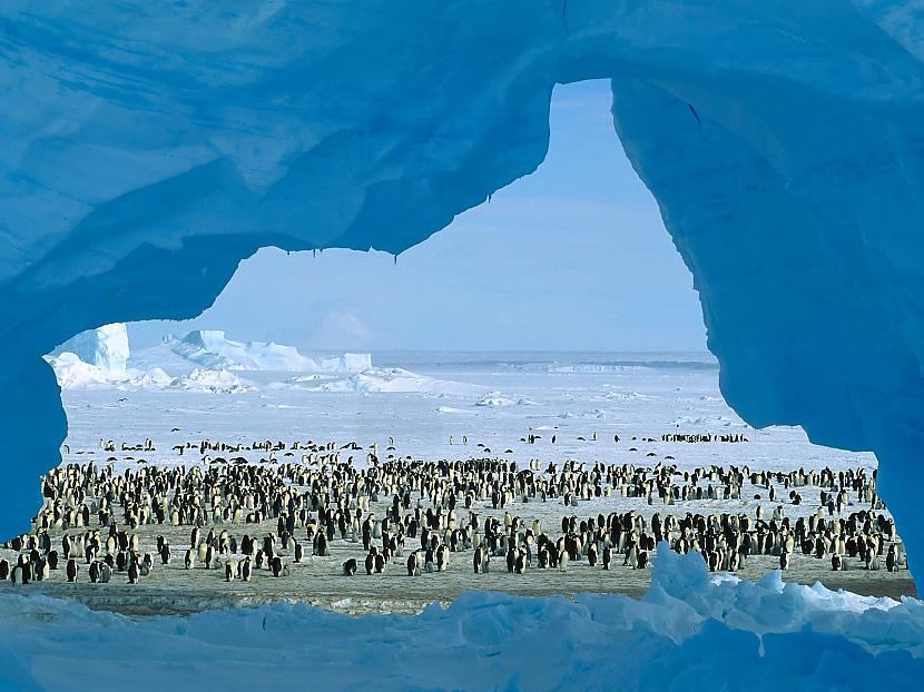 Tiek lēsts ka Arktikas dzīlēs... Autors: Pollija Pasaules ledāju kušana1
