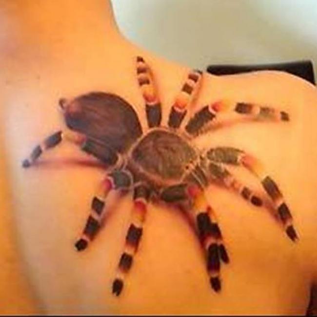 Zirneklis Simbolizē... Autors: Sadwolf Dzīvnieku tetovējumu nozīme 2.