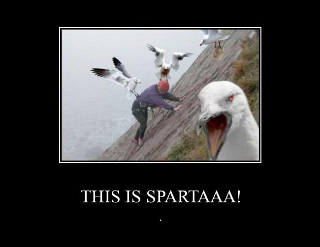 Autors: DAIKC this is spartaaa!