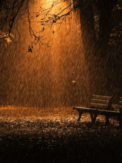  Autors: TheLittlebuu Magic of the Rain..:*