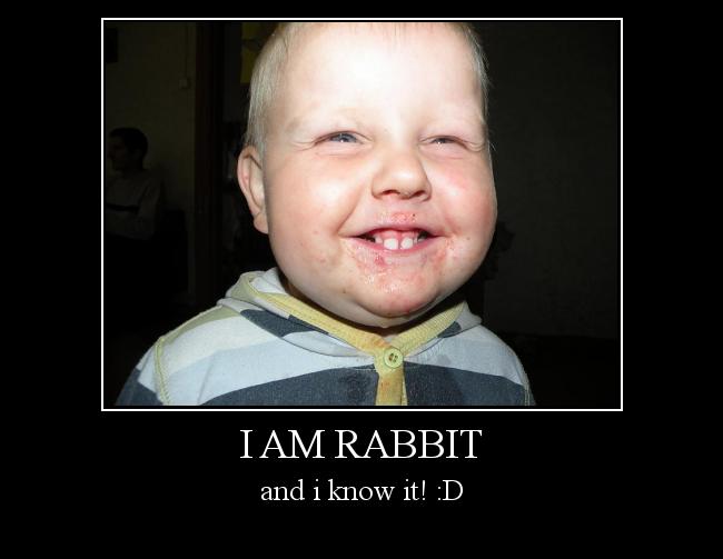  Autors: telum I am rabbit