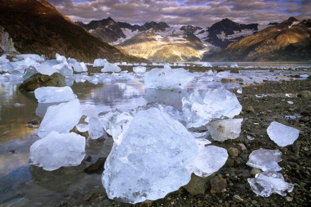 USA Alaska Glacier Bay NP... Autors: wodka Dabas skati VOL 2