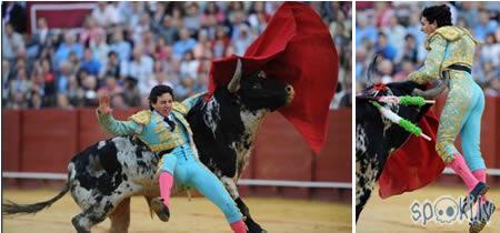 matadors Oliva Soto es gan... Autors: whateverusay Kad matadoriem nepaveicās..