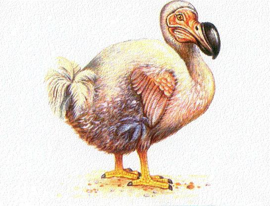 Pēdējais dodo putns nomira... Autors: Jibberish Iespējams nedzirdēti fakti 4