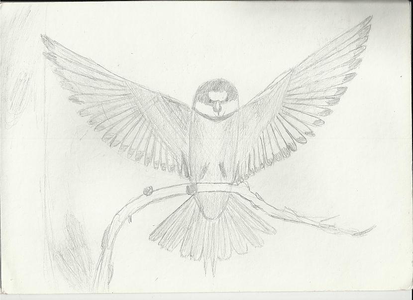 Šis putniņš tapa diez gan... Autors: whitefox122 Mani zīmējumi part 1