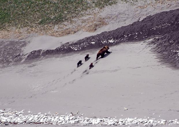  Autors: Gerkāns Kamchatka