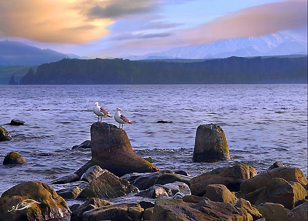  Autors: Gerkāns Kamchatka