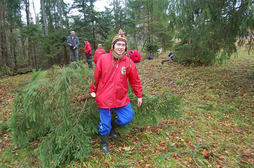 wwwizglabsimlv Autors: Izglabsim FOTO: Atdod saules gaismu Strēļu svētozolam