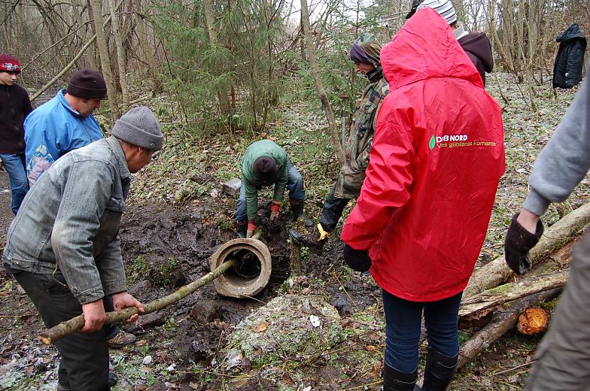 wwwizglabsimlv Autors: Izglabsim Latgales Staburags sakopts un atbrīvots!