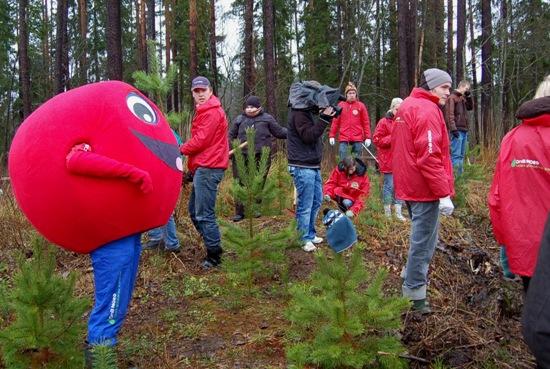 wwwizglabsimlv Autors: Izglabsim Valkā attīra divus dižakmeņus