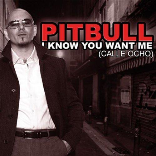 7 Pitbull  I Know You Want Me Autors: BLACK HEART 2009.gada populārāko dziesmu top40!