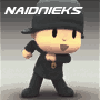 NaidniekS avatars
