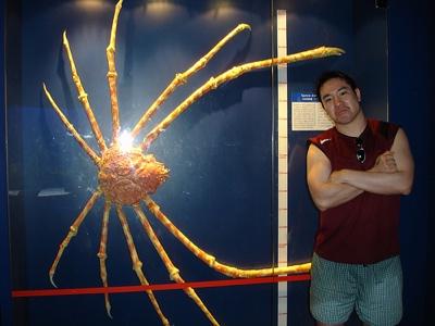 Japāņu zirnekļkrabis ir... Autors: isi by isi 15 dīvainas radības zemes virsū!