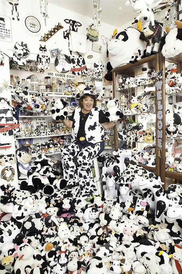 Lielākā govju kolekcija Šajā... Autors: yokE Ginesa rekordi 2012