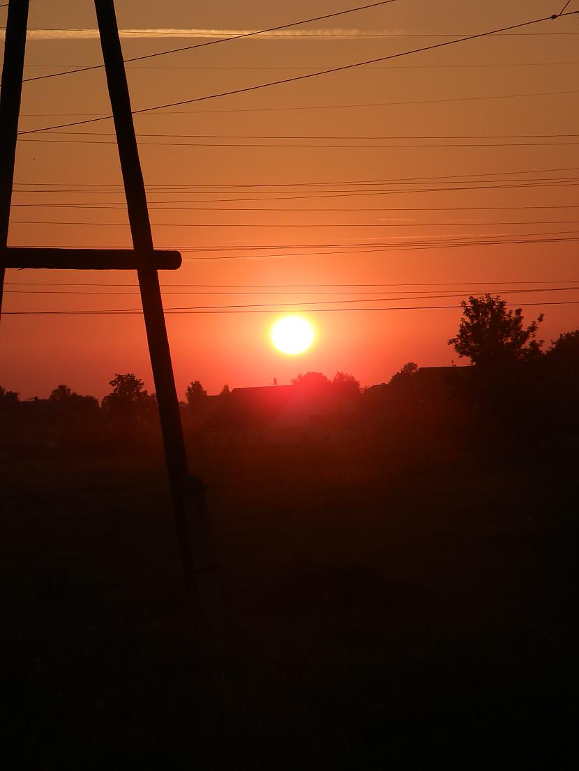 Skaistākie saulrieti un... Autors: danabuckina Kāpēc man patīk šeit dzīvot?